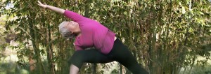 Debra Hodgen Pose